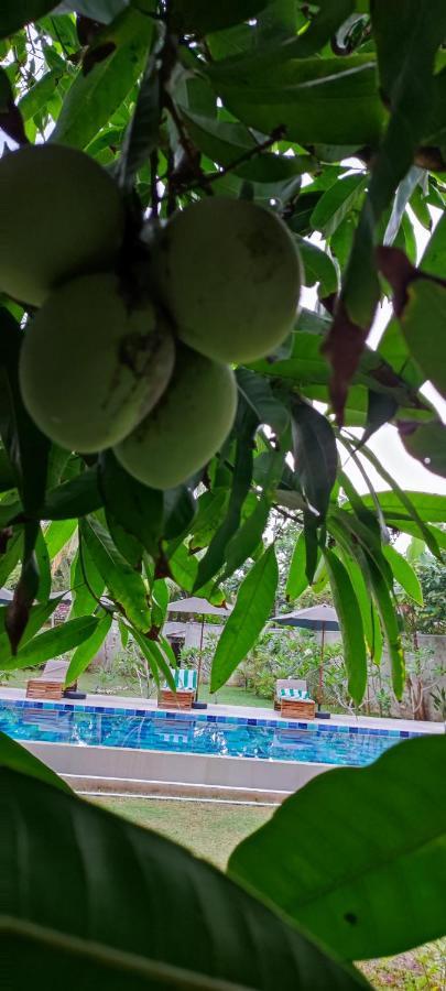 Mango Tree Villa Bentota Buitenkant foto